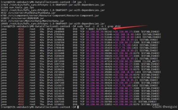 Linux系统下通过jar包进程号查询jar程序占用端口的常用方法