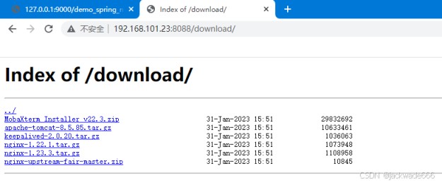 Nginx制作下载站点的方法步骤