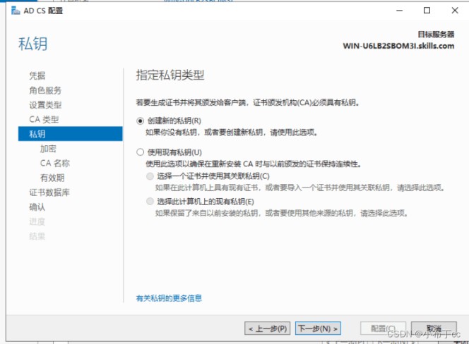 Windows server 2019搭建证书服务器的实现步骤