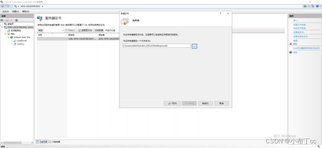 Windows server 2019搭建证书服务器的实现步骤