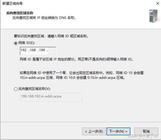 Winserver2019搭建主辅域名解析服务器的方法