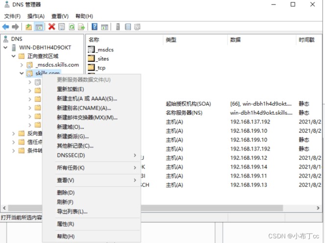 Winserver2019搭建主辅域名解析服务器的方法