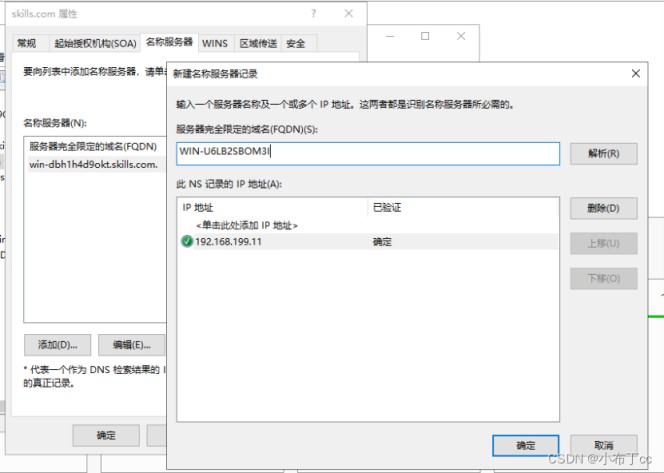 Winserver2019搭建主辅域名解析服务器的方法