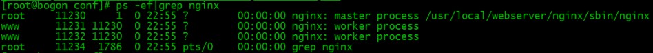 Linux服务器下安装配置Nginx的教程