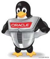 Oracle Linux 能否成为企业级 CentOS 的替代品？