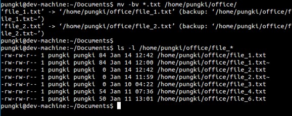 Linux移动文件与目录－mv命令的10个实用例子