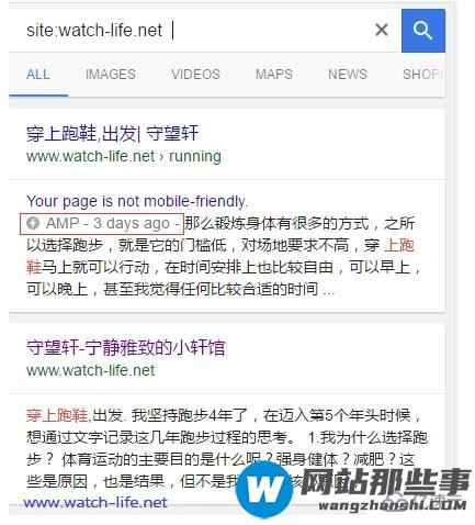 WordPress中怎么支持google AMP