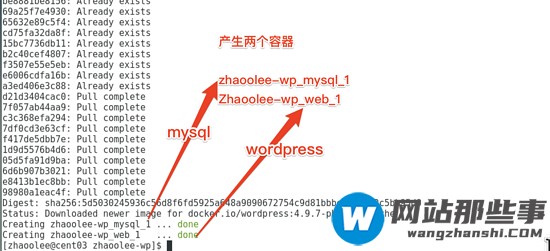 怎么在docker中安装wordpress