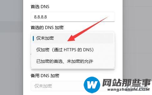 win11如何加密dns