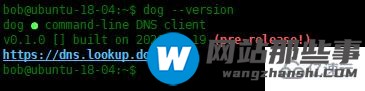 Linux系统下如何安装DNS查询命令行工具Dog