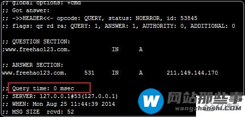 Linux下如何使用DNSmasq建本地DNS服务器