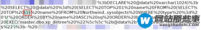 如何使用DNS和SQLi从库中获取数据样本