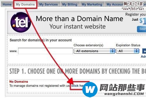 MyDomain老牌免费域名DNS解析服务是怎么样的