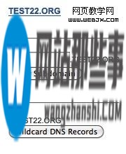 MyDomain老牌免费域名DNS解析服务是怎么样的