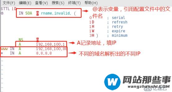 DNS牛刀小试之DNS分离解析