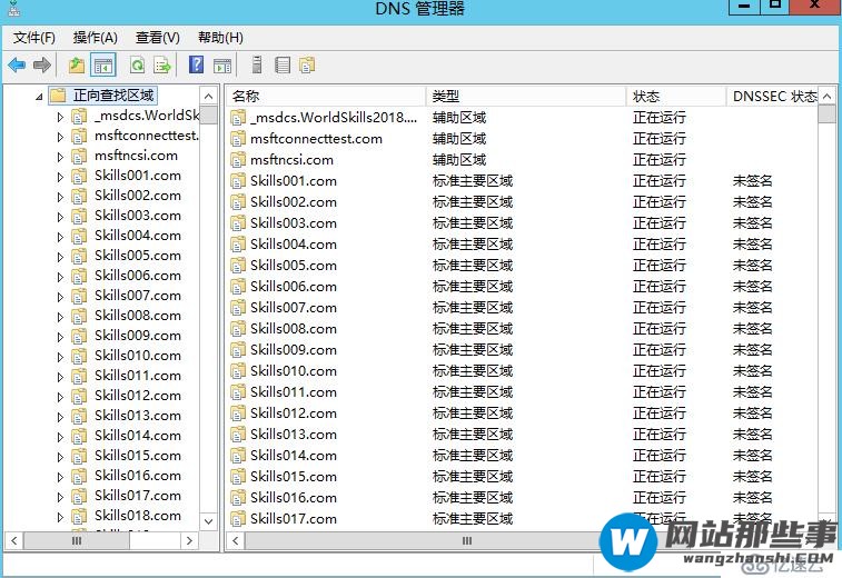 Windows Server 批量创建DNS区域及记录（使用bat脚本）