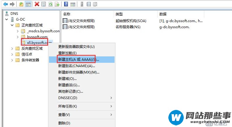 Windows Server 本地DNS Zone实现智能解析