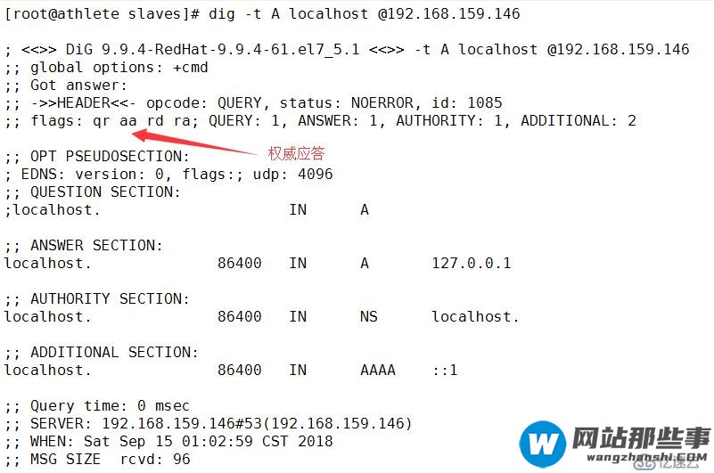 DNS 服务器--从入门到放弃