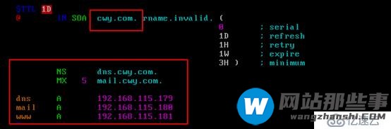 DNS（域名服务器）实验：