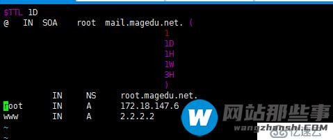 DNS正向解析 反向解析   转发   子域    智能DNS