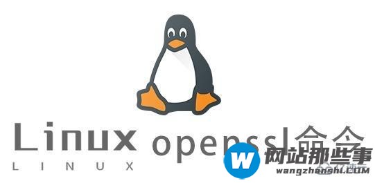 Linux中openssl命令怎么用