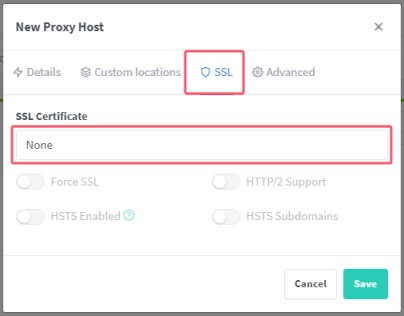 Nginx Proxy Manager轻松搭建反向代理的实现