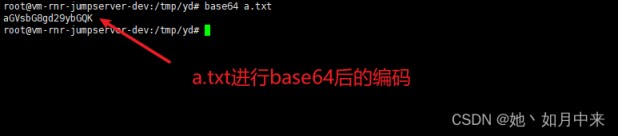 Linux下如何用base64命令加解密字符串