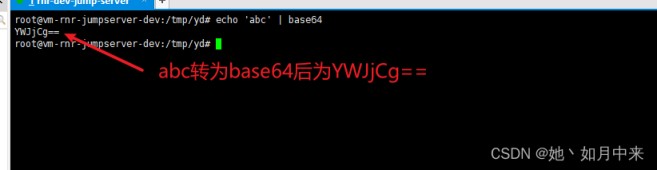 Linux下如何用base64命令加解密字符串